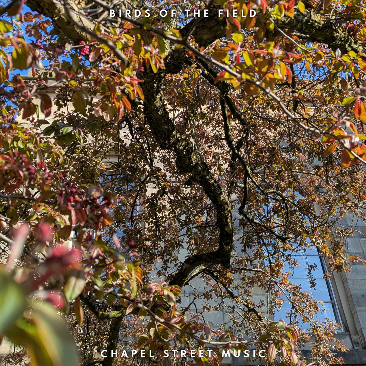 Image attachment with file name: SPCS Website 162.jpeg